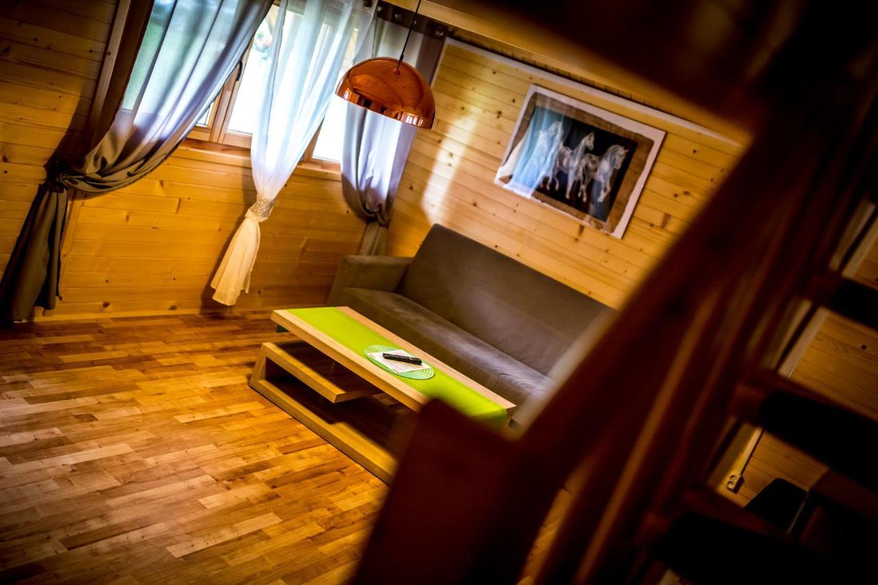 Villa Zastan ミエンジボジェ エクステリア 写真